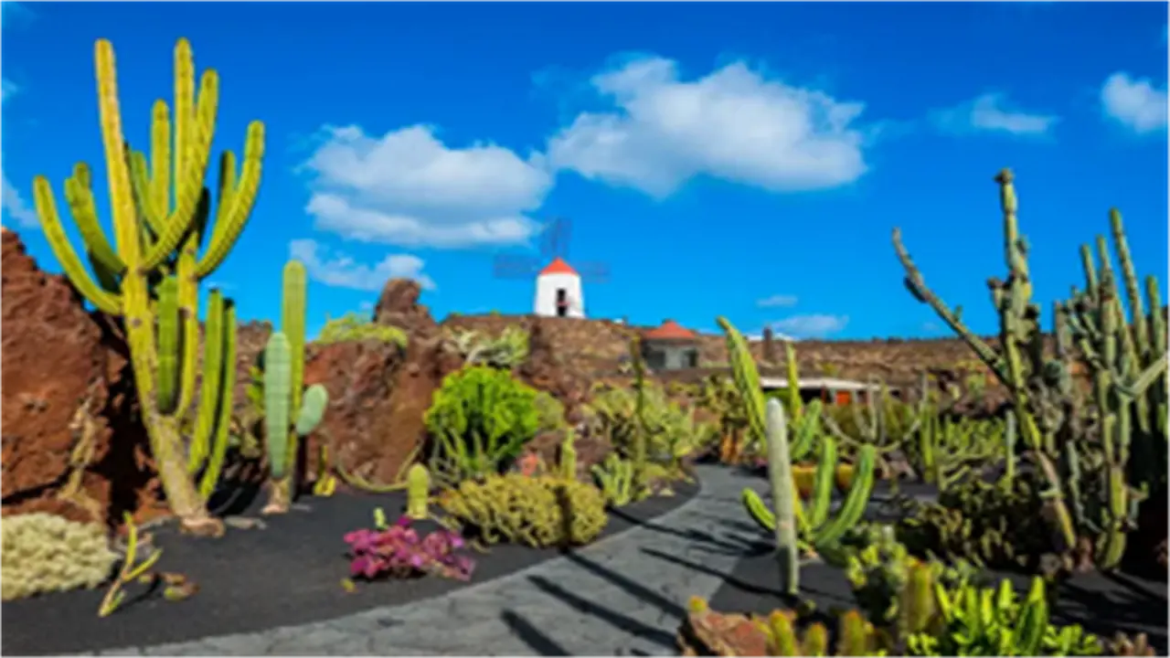 المناطق الممنوعة من السفر في 2026 تشمل جزر الكناري بسبب أسباب أمنية وصحية واضحة